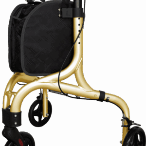 Chodzik 3-kołowy RF-622 złoty